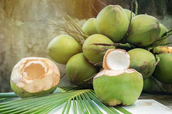 Khasiat Kelapa – Perpustakaan Laman Hikmah