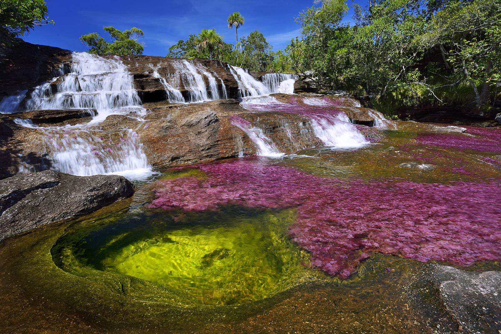 Caño Cristales - Nature Experience