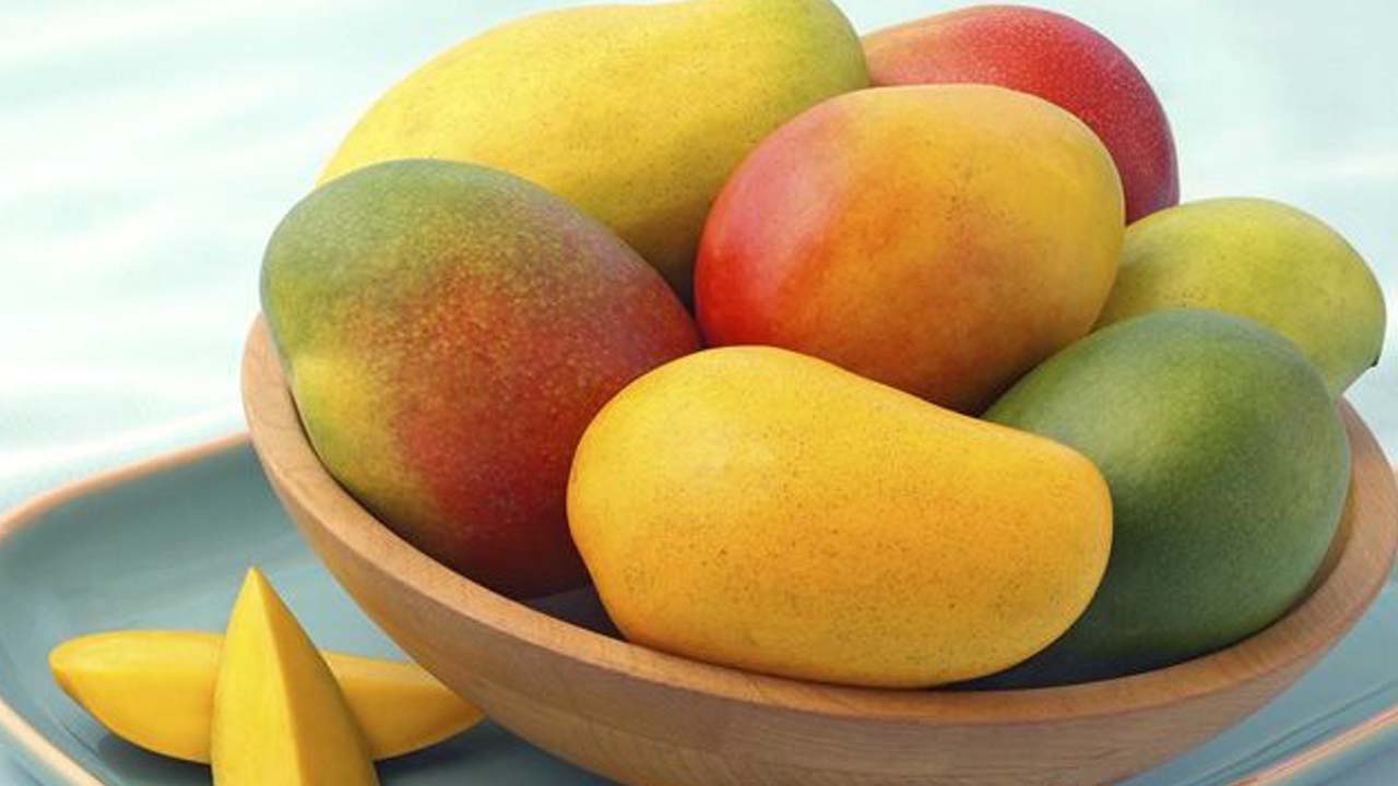 12 Jenis Buah Mangga Unggulan Terlezat dan Terpopuler di Indonesia. -  HigarAgro
