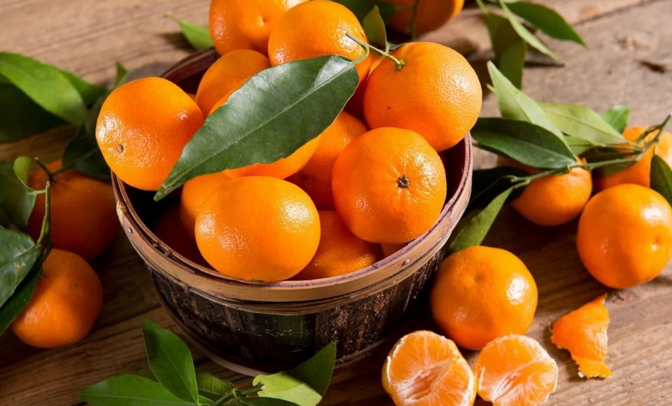 Nibble.id - Kenalan Dengan 11 Jenis Jeruk Paling Populer di Dunia